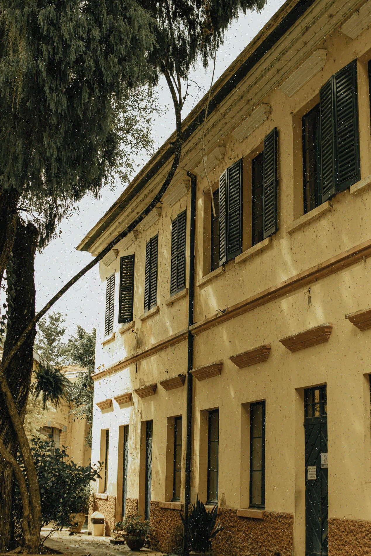 Čištění a deodorace